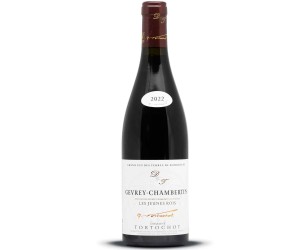 gevrey chambertin vin bourgogne