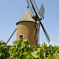 Moulin à Vent 2022 - Grand Achat Beaujolais - en ligne Rottiers du vin